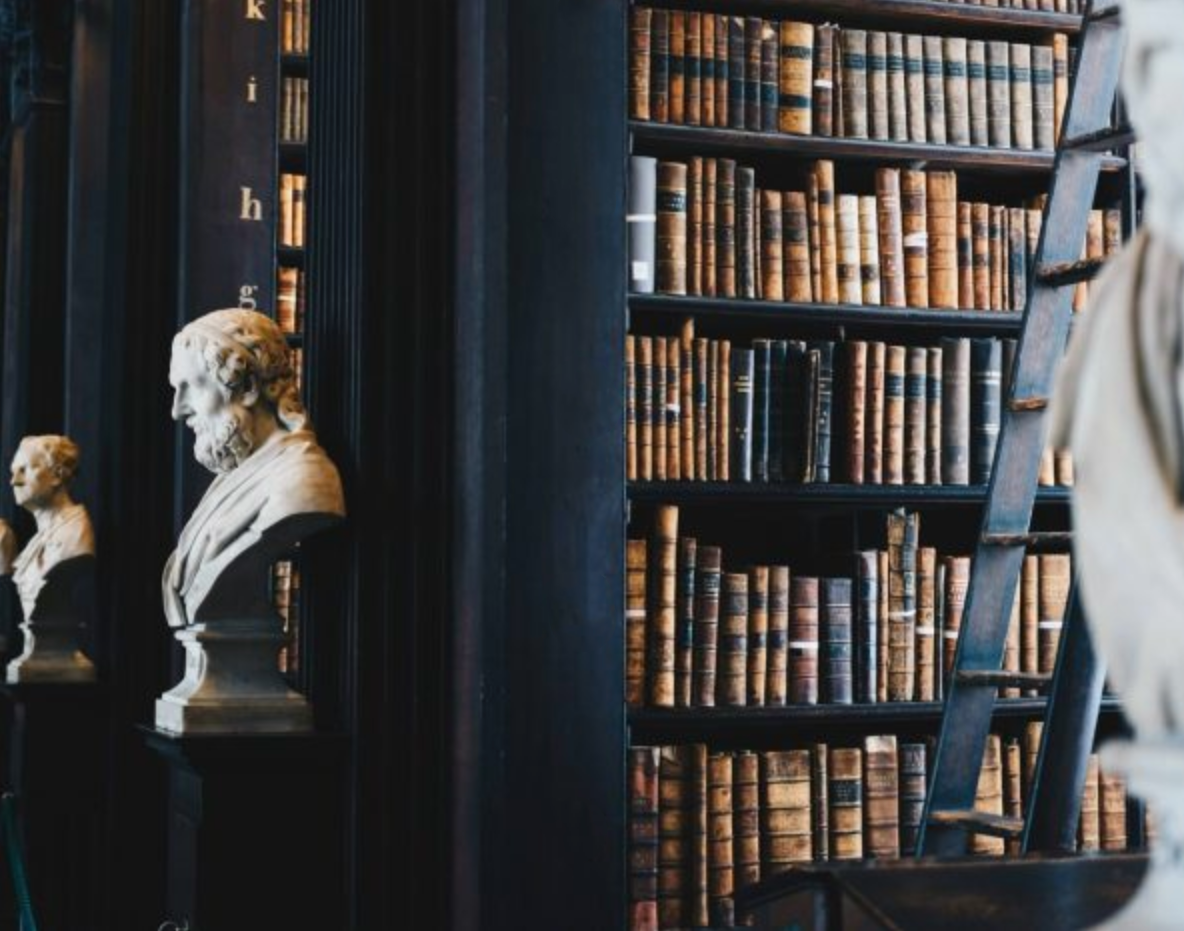 ann arbor lawyer contact